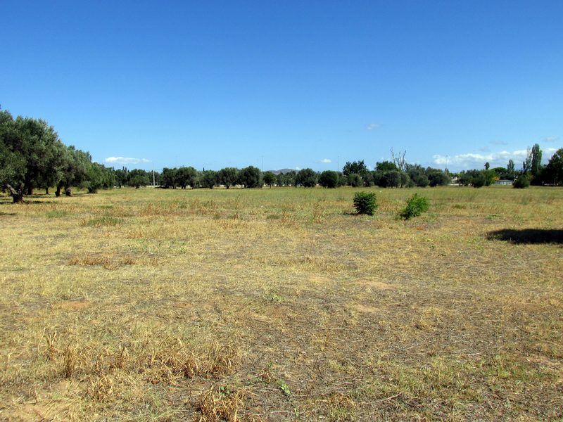 The flat plain of Marathon stretching toward the bay, viewed from the position of the ancient Athenian battle line