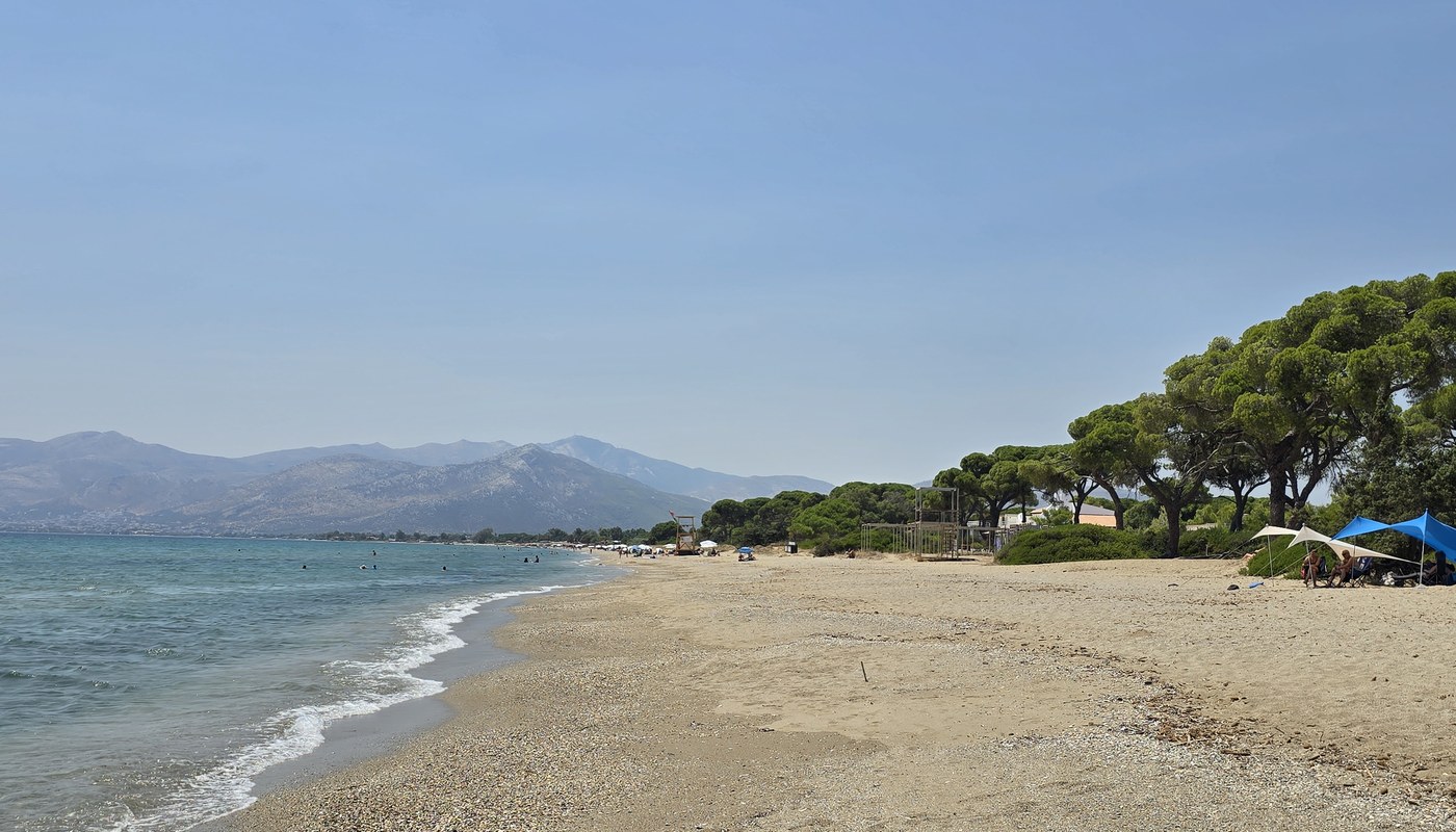 Panoramic view of Schinias Beach with pine trees, beach shelters, and mountains near Marathon, Attica
